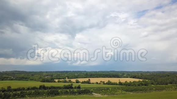 满麦草田乡村夏日黑云背景视频的预览图