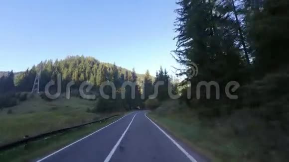 开车去常绿森林视频的预览图