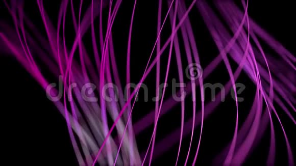黑色背景上彩色线条的抽象动画动画美丽的抽象的发光线条动画视频的预览图