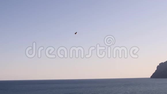 从一个村庄的飞行无人机在美丽的海洋景观日落缓慢的运动空中拍摄4K视频的预览图