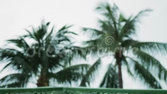 热带风和雨滴落在苏梅岛的绿色棕榈树叶上慢动作3840x2160视频的预览图