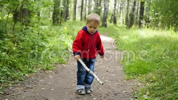 在秋天公园散步的孩子一个男孩手里拿着棍子站着视频的预览图