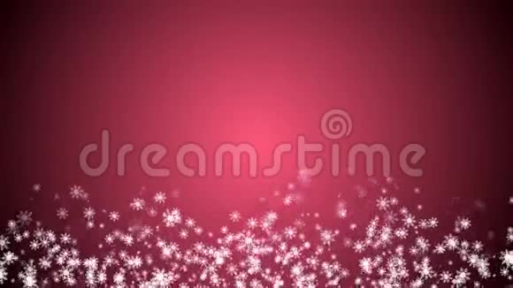 移动雪花的抽象粉红色背景循环动画视频的预览图
