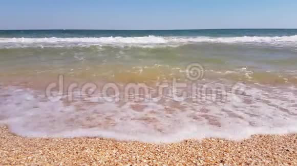 海滩上的贝壳和海浪关闭视频的预览图