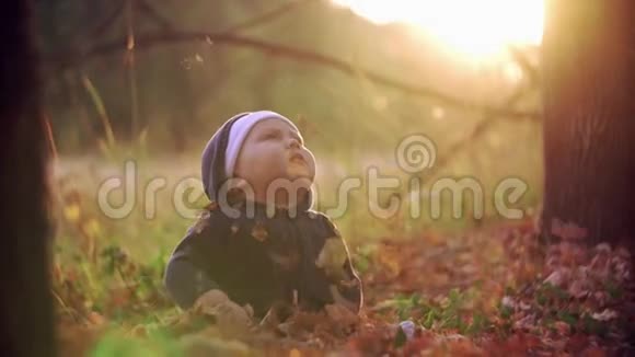孩子在秋天公园扔黄叶这孩子坐在树林里的树叶里孩子看着黄色的毛茸茸的叶子视频的预览图