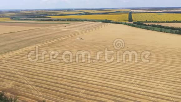 收割小麦作物联合收割机的鸟瞰图视频的预览图