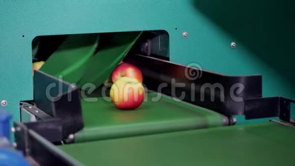 工厂中的设备用于干燥和分拣苹果食品工业的工业生产设施视频的预览图