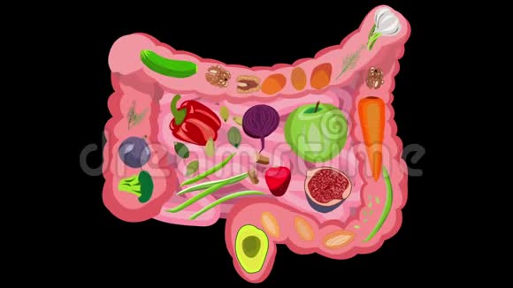 肠道健康的健康食品黑色背景视频视频的预览图