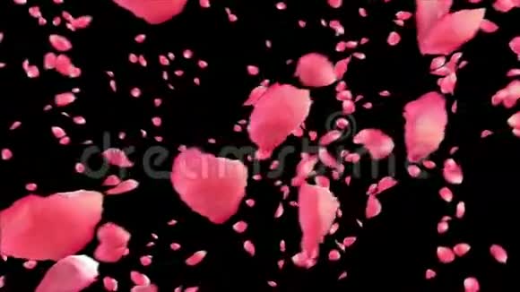 黑色的玫瑰花瓣高清循环面具视频的预览图
