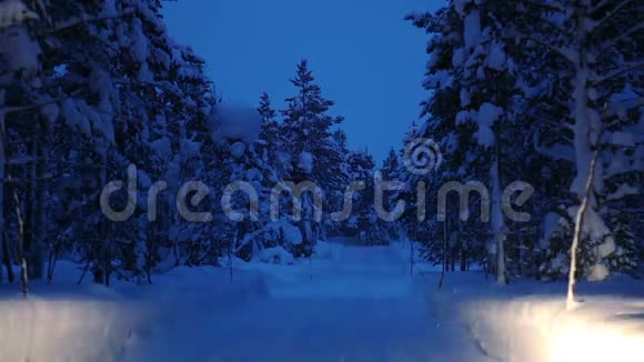 冬季森林的夜间降雪和一辆有大灯的汽车视频的预览图