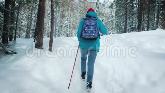 在美丽的冬林里年轻的女性带着背包徒步旅行北欧步行用棍子视频的预览图