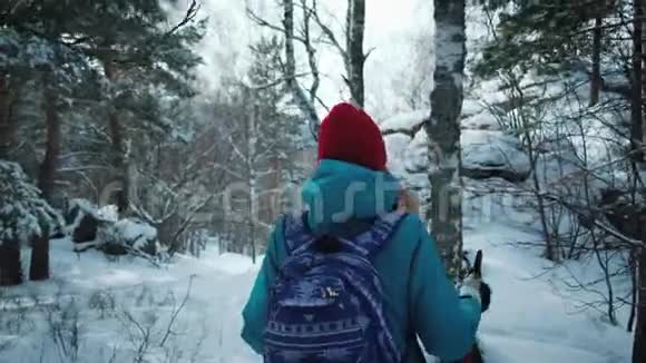 在美丽的冬林里年轻的女性带着背包徒步旅行北欧步行用棍子视频的预览图