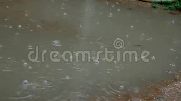 雨滴在池塘上秋季背景视频的预览图