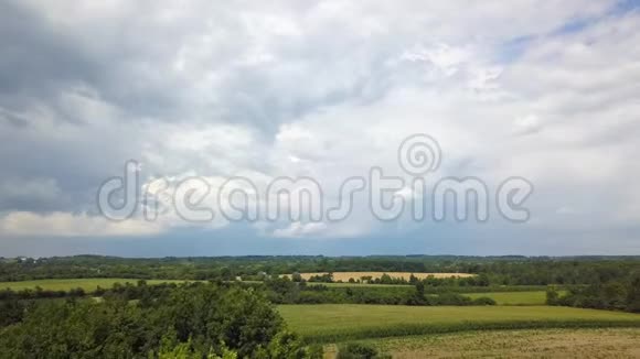 长满草的田野乡村夏日的乌云背景视频的预览图