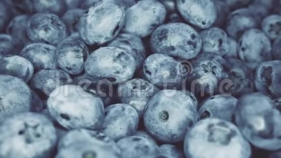 特写蓝莓旋转无缝循环4K水果背景视频的预览图
