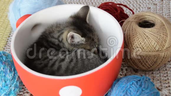 小猫睡在一个被羊毛球包围的碗里视频的预览图