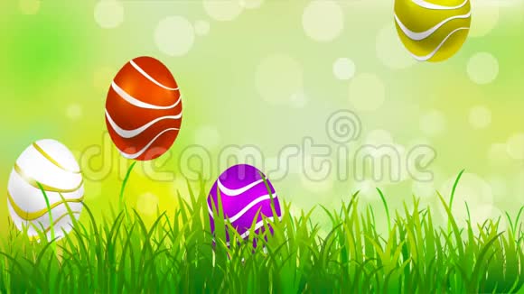 复活节兔子在草地上的蛋之间视频的预览图