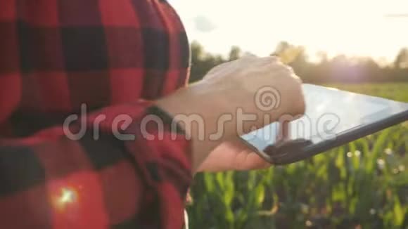 女孩农民用平板电脑监控庄稼日落时的玉米地慢动作视频把手举起来视频的预览图