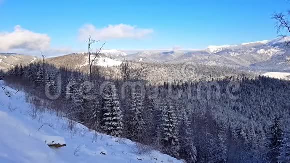 喀尔巴阡山脉布科维尔乌克兰视频的预览图