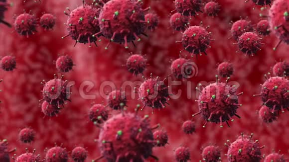 红色细菌或covid19病毒细胞在人体器官的红色背景下随机移动和旋转分离视频的预览图