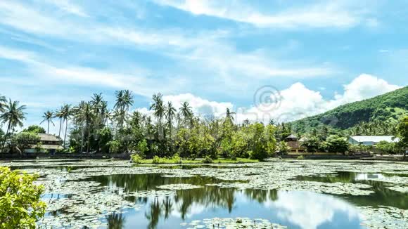 4印度尼西亚巴厘岛热带岛屿上莲花场的时间推移在巴厘岛东部坎迪斯达萨令人惊叹的场景与云彩视频的预览图