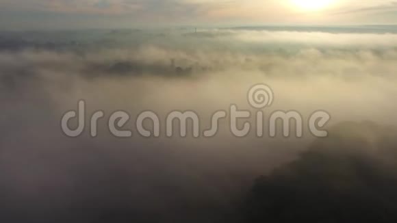 美妙的夏季早晨雾鸟瞰视频的预览图