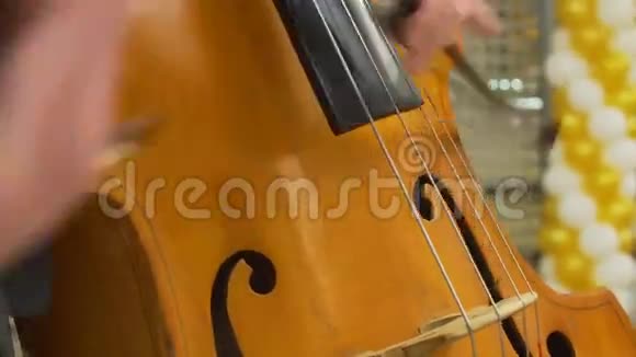 在大提琴演奏的音乐家特写视频的预览图