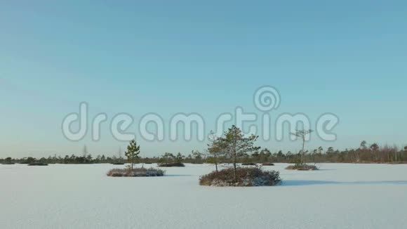 冰冻湖中的树木群落白天干净而寒冷光滑的娃娃射击视频的预览图