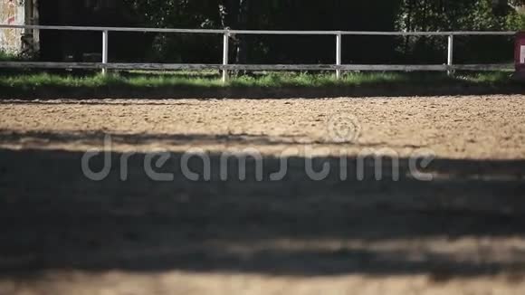 女人训练马视频的预览图