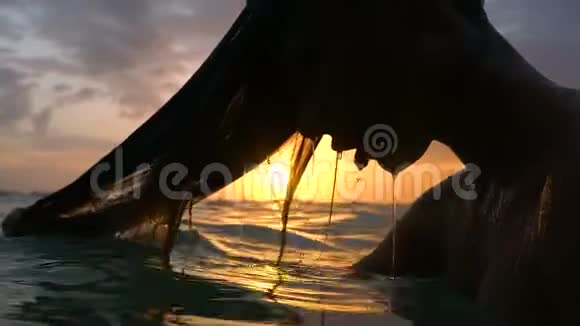在水下的夕阳下头发和嘴唇湿漉漉的女孩视频的预览图