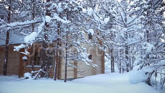 森林和降雪中的房子无缝回路视频的预览图