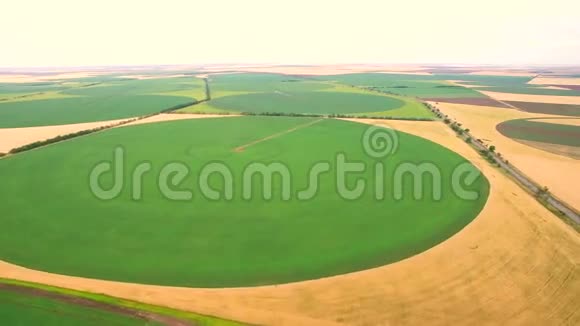 以圆的形式从大麦田高度看种植和浇水视频的预览图