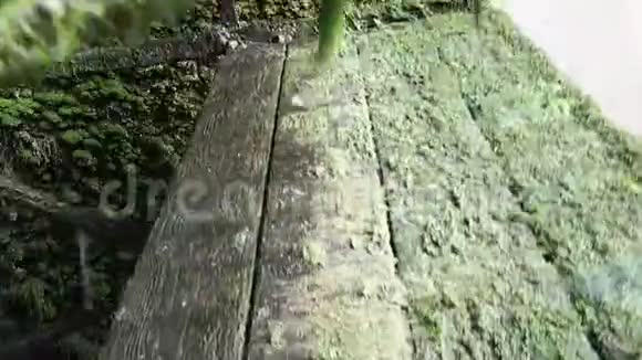4kLaSorgue河水磨视频的预览图