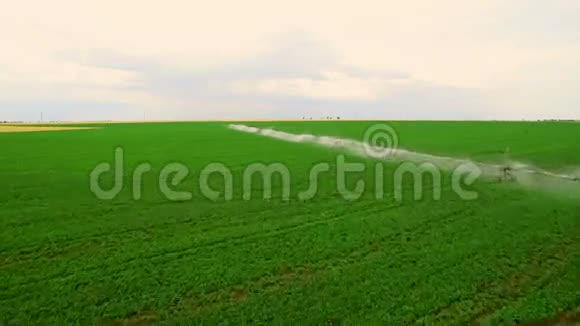 工业农业空中录像夏季欧洲莴苣的灌溉灌溉和灌溉视频的预览图