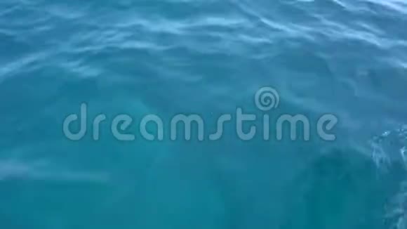墨西哥坎昆加勒比海快速移动机动双体船后水面的小径夏日晴天视频的预览图