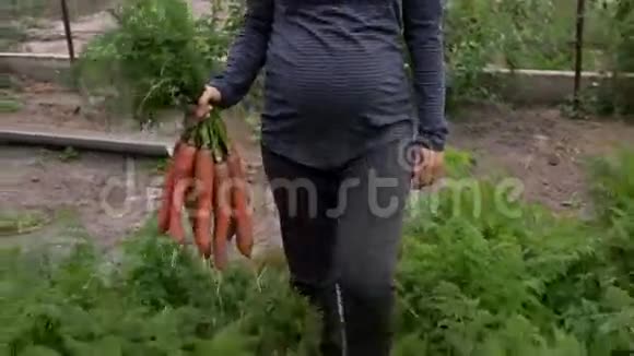孕妇带着一捆胡萝卜视频的预览图