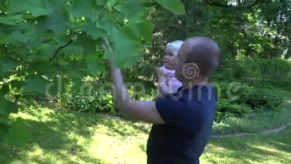 小爸爸在公园的郁金香树旁抱着好奇的小女儿4K视频的预览图
