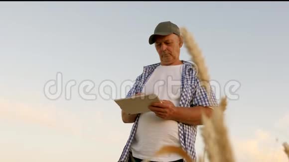有平板电脑的商人评估粮食收成收获谷物农民带着平板电脑在麦田工作业务视频的预览图