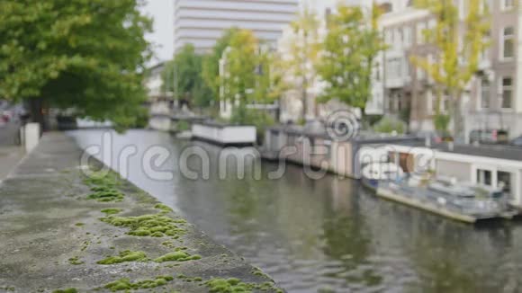 荷兰阿姆斯特丹Amstel运河的阿姆斯特丹海滨绿苔视频的预览图