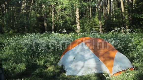 男人把背包藏在帐篷里这个方法放了一个背包和一个帐篷关闭清晨在森林里视频的预览图