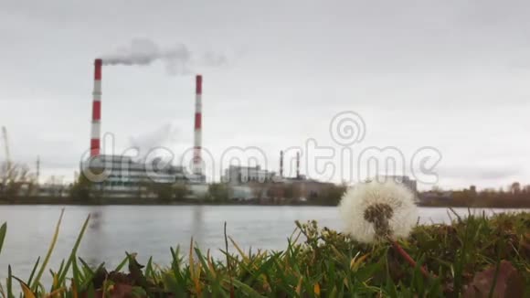 秋季工业景观江面火力发电厂生态理念前景花草视频的预览图