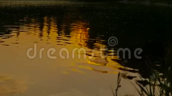 日落时对水的倒影视频的预览图