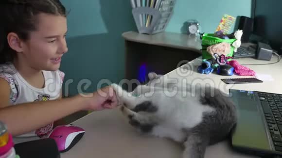 女孩和猫玩小猫躺在桌子上室内和女孩玩耍视频的预览图