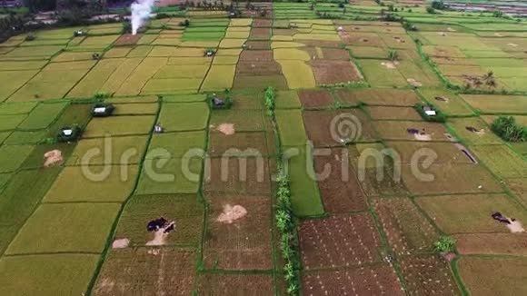 从鸟瞰越南木仓柴收获季节美丽的梯田稻田视频的预览图