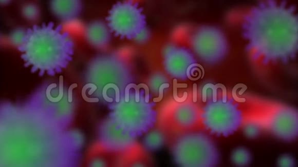 细菌或covid19病毒的紫色和绿色细胞细胞在人类红色背景下随机移动和旋转视频的预览图