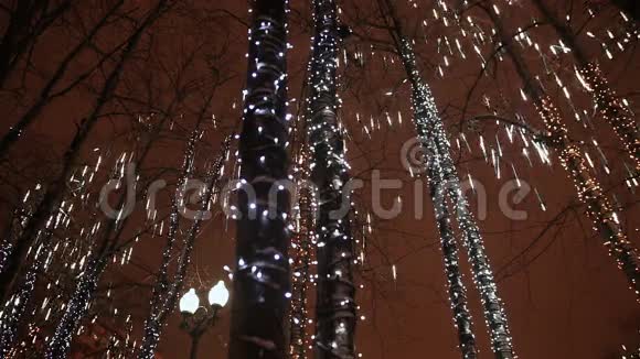 圣诞节夜间树木的发光照明以下降的形式新年主题视频的预览图