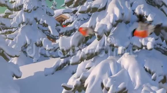 从拉普兰的圣诞老人之家出发带着驯鹿的圣诞老人美丽的3D动画与北极光视频的预览图