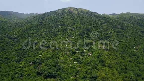 美丽的青山覆盖着热带树木和石头的鸟瞰山水山带绿林无人机观景视频的预览图
