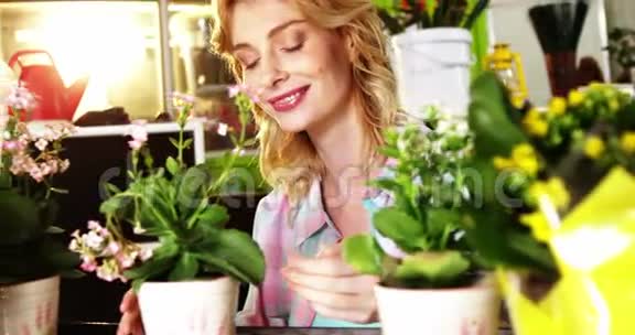 花店女花匠布置盆栽视频的预览图