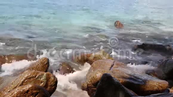 简单的冲浪清洗海岸岩石视频的预览图